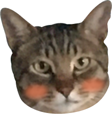 고양이 구독 이미지